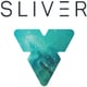 Silver VR  logo