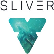 Silver VR  logo